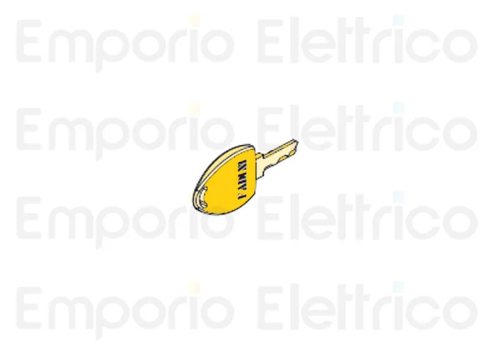 fadini spare part raw key to be encrypted for chis 37 37018