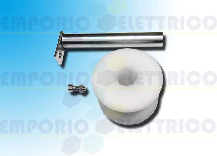 came spare part chain sliding wheel cat-x 119rix008 (new code 88003-0175)