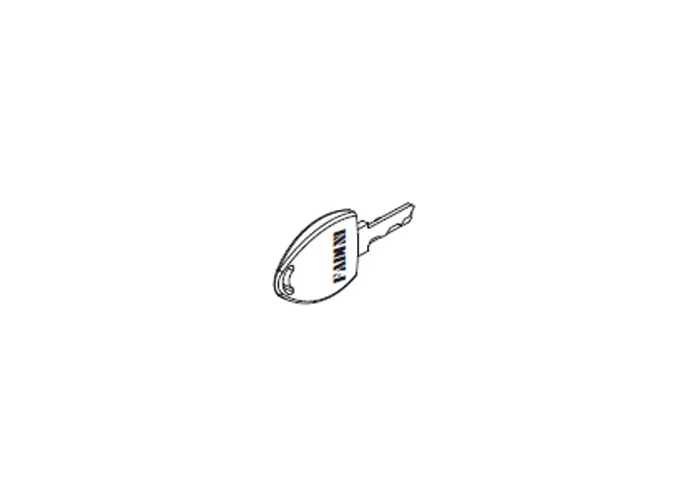 fadini spare part raw key to be encrypted for chis 37 37018