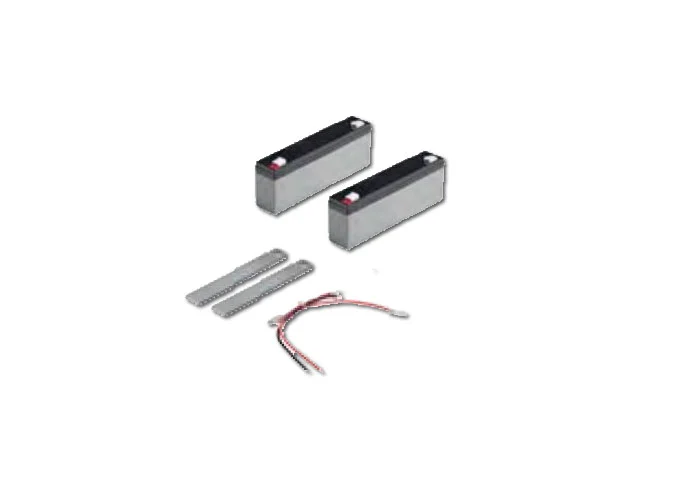 beninca kit of 2.1 Ah batteries with bracket and cable 908602344 bt2.bat